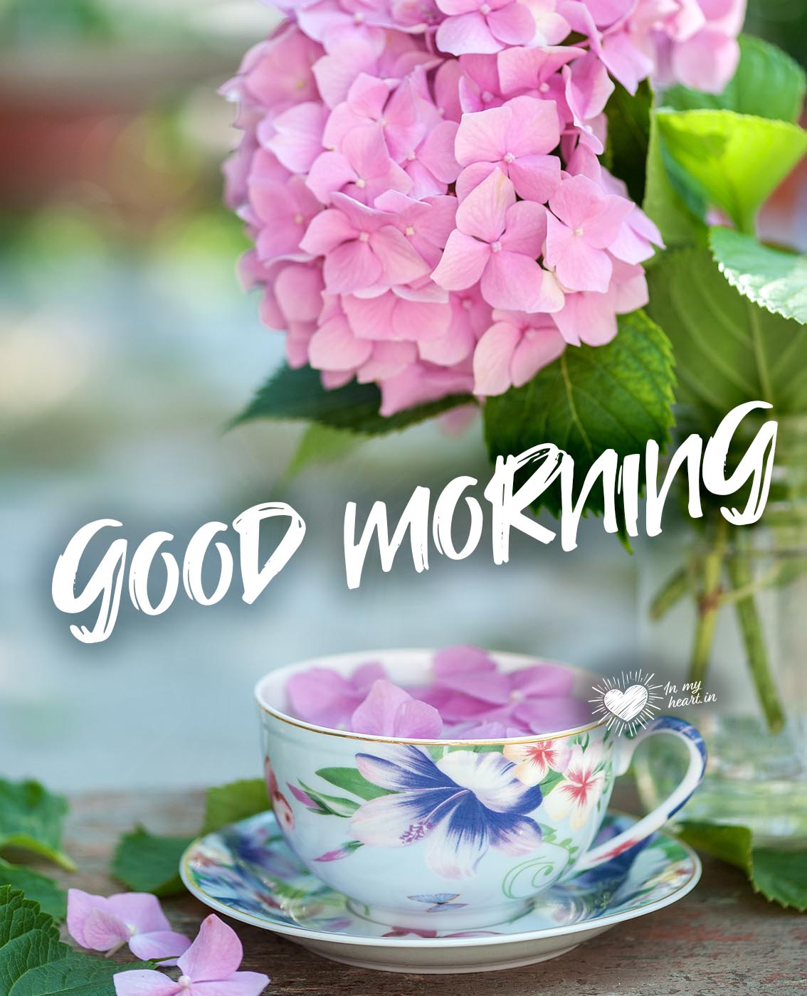 Good Morning Images For WhatsApp Status GIFs Quotes Free With Good Morning Images For WhatsApp Status GIFs Quotes Free With
